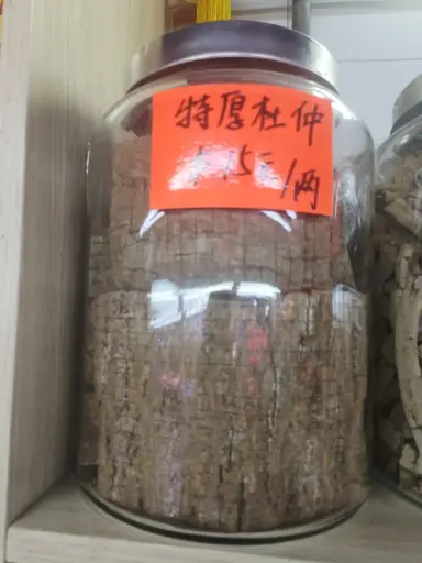 特厚杜仲